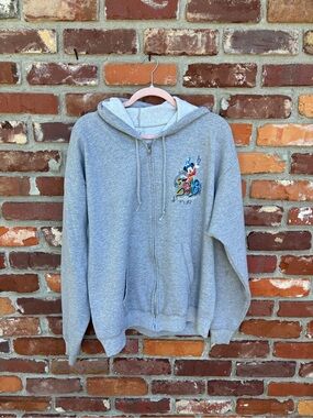 EUC Disney Hoodie
